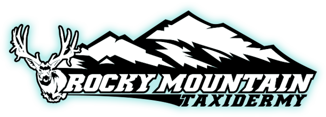 Rocky Mtn Taxidermy